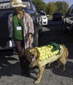Halloween goes to the dogs
